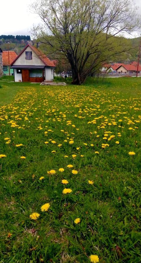 Apartment Enjoy Kolašin Zewnętrze zdjęcie